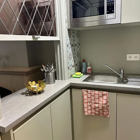 Petit * 오스텐드